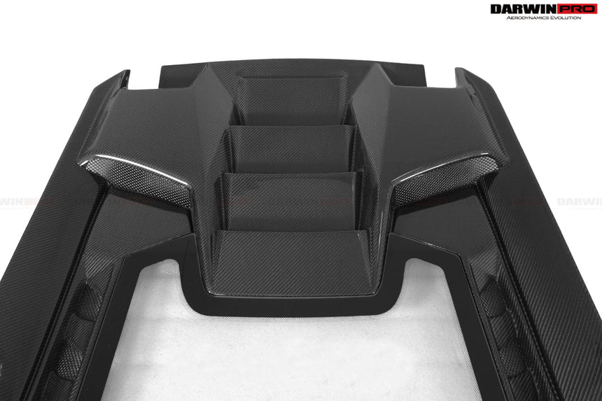 2015-2020 Lamborghini Huracan LP610/LP580 Performante Style Carbon Trunk Spoiler and Engine Hood
