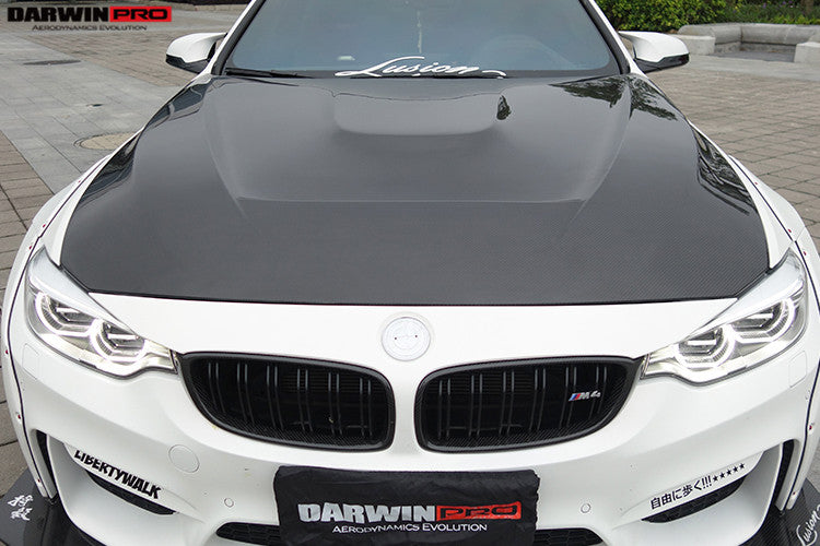 2014-2020 BMW M3/M4 GTS Style Hood