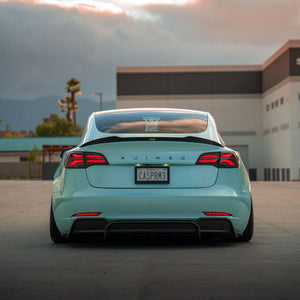 TESLA MODEL 3 CARBON FIBER SPOILER V2
