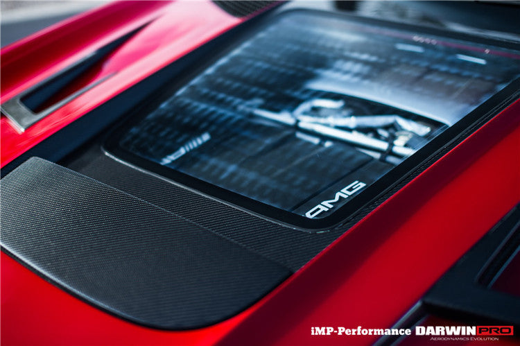 2015-2022 Mercedes Benz AMG GT/GTS/GTC/GTR IMP Carbon Fiber Hood