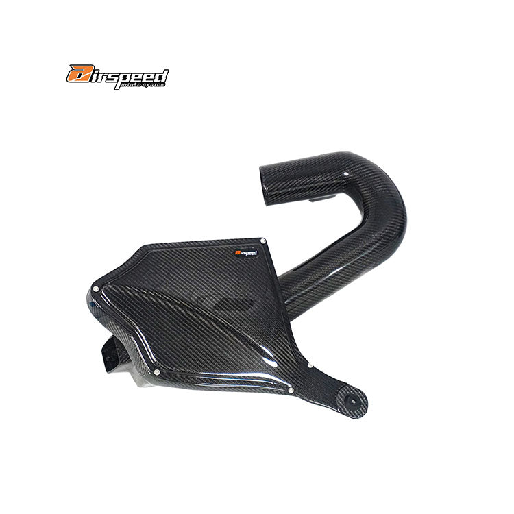 BMW 3/4 Series (N20 F30 F32) 2.0T (2012-2016) Dry Carbon Fiber Cold Air Intake System