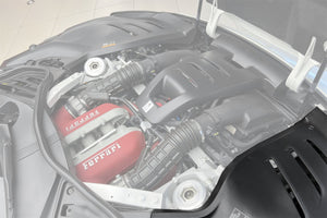 DarwinPRO 2023-UP Ferrari Purosangue FUV Type F175 OEM Style Dry Carbon Fiber Inner Engine Cover (2PCS)