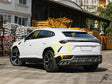 BodyKits Aerodynamics LLC dry carbon fiber rear canards installed on a white Lamborghini Urus SUV